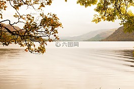 湖,陽光,水
