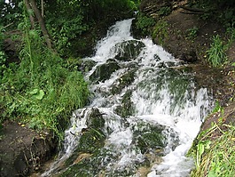 彈簧rusanov關(guān)鍵,利佩茨克州,俄羅斯