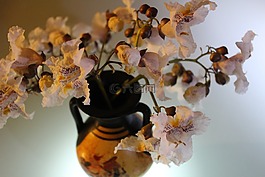 鮮花,投手,靜物