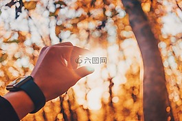 手,手表,陽光