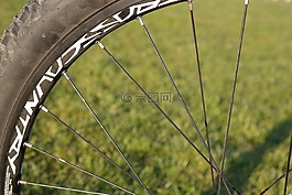 輪輻,輪,自行車
