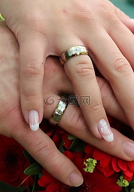 環(huán),手,婚禮