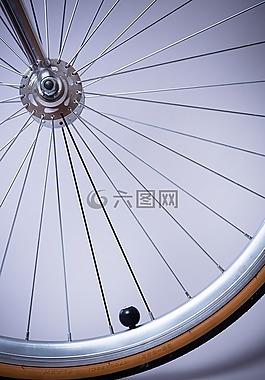 自行車,特寫,rim