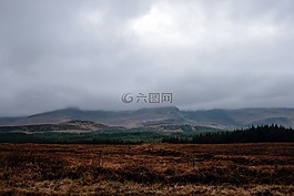 山,高原,草