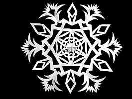 明星,雪花,側(cè)影