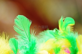 泡沫球,羽毛,豐富多彩