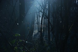 黑暗,穆迪,可怕