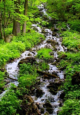 瀑布,水,明確