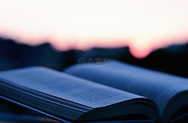 書,閱讀,研究
