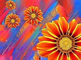 花,光明,夏季