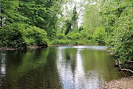 懶惰河,和平,水