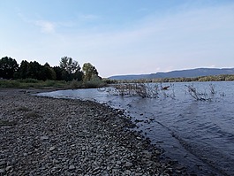 海灘,夏,海