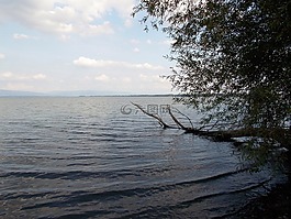 水,海灘,洗澡