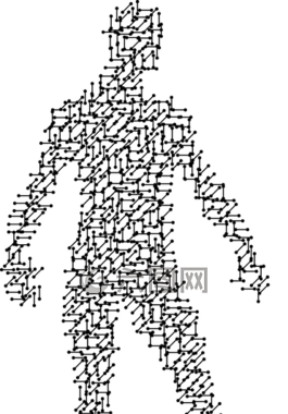 男子,男,男孩