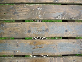 斑馬,藝術(shù)寫(xiě)真,動(dòng)物園