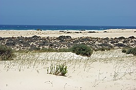 沙漠,沙,熱