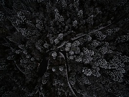 空氣,查看,黑暗