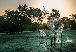 性質(zhì),景觀,黎明