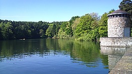 湖,möhnesee,自然