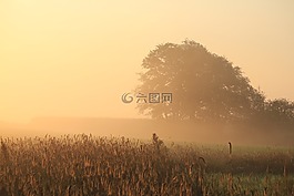 上午,小時,日出