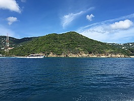 島,樹,水