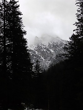 山,冬季,森林