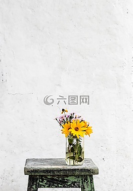 木,表,黄色
