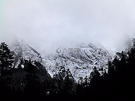 山,雪,森林
