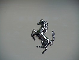 郵票,這匹馬,圖片