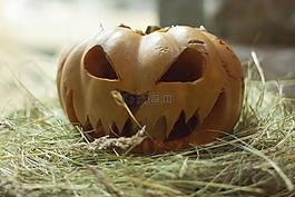 自然,食品,蔬菜