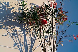 蓝色,天空,墙