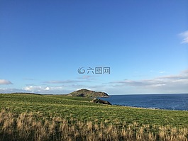 草,天空,藍色