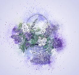 鮮花,丁香,籃