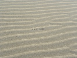 沙,海灘,波