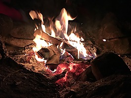 營(yíng)火,黑暗,樺木