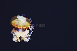 黑暗,多彩,光