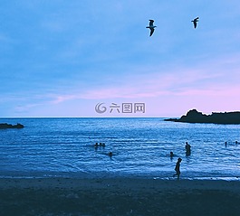 海,海洋,水