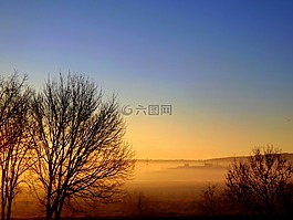 薄霧,日落,樹(shù)