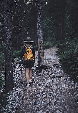 森林,戶外,路徑