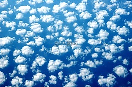 羊,天空,背景