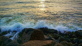 上午,日出,海灘