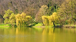 春天,湖,性質(zhì)