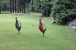 雞,雕塑,花園