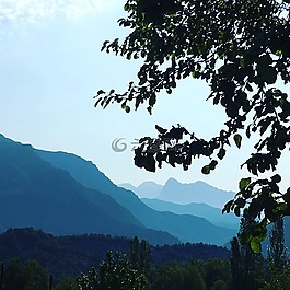 阿拉貢比利牛斯,山,樹