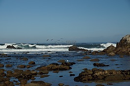 海,海浪,假期