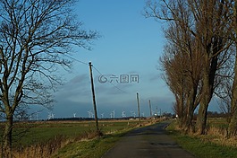 winpark,離,樹木