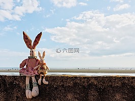 兔,云,墻
