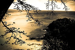 夜,夜晚,島嶼