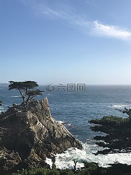 加利福尼亞州,焦糖,海洋