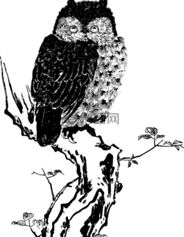釀酒,黑色和白色,圖